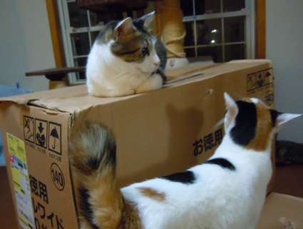 20100916home03.JPG