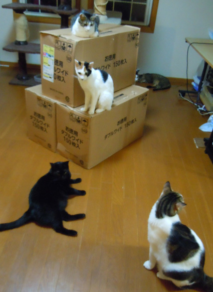 20100916home04.JPG