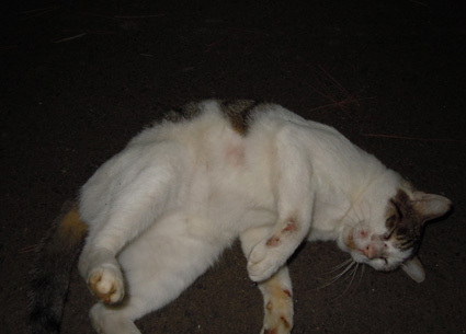 20100917park07-0999f.jpg
