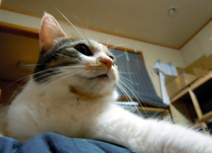 20100922home04.JPG