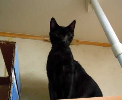 20100923home06.jpg