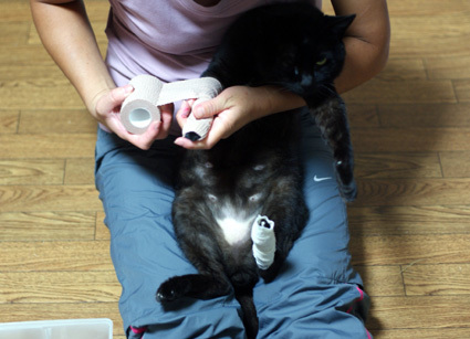 20100924home01.JPG