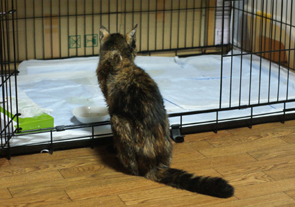 20100924home05.JPG