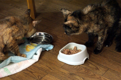 20100927home04.JPG