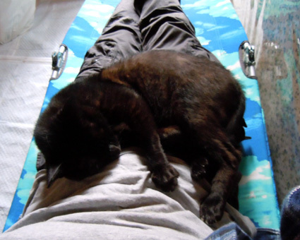 20100927home10.JPG