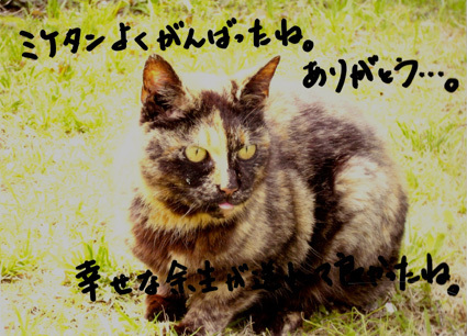 20101001miketan01.JPG