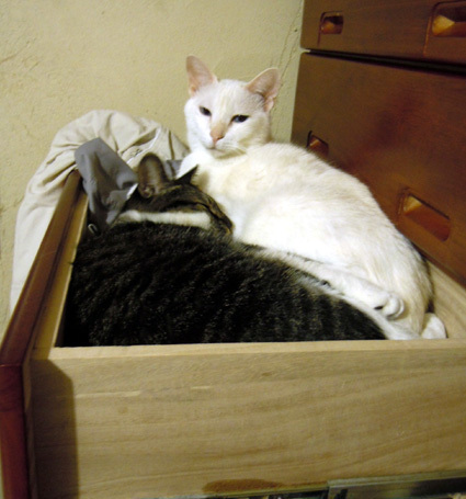 20101004home01.JPG