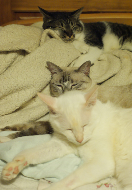 20101004home02.JPG
