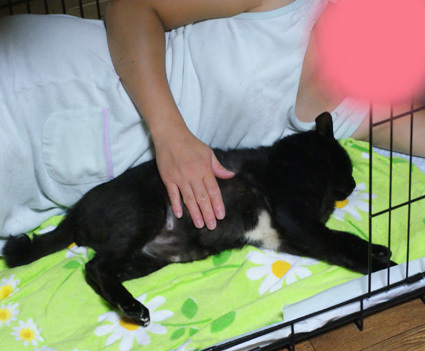 20101004home03.JPG