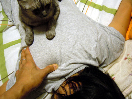 20101004home04.JPG