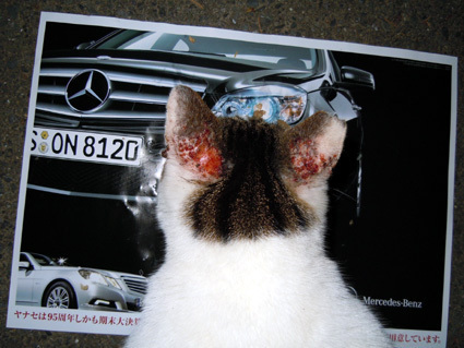 20101008park11.jpg