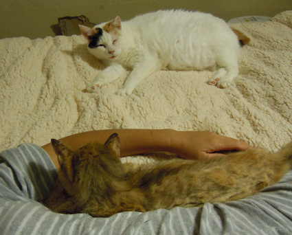 20101026home01.JPG