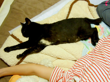 20101026home02.JPG