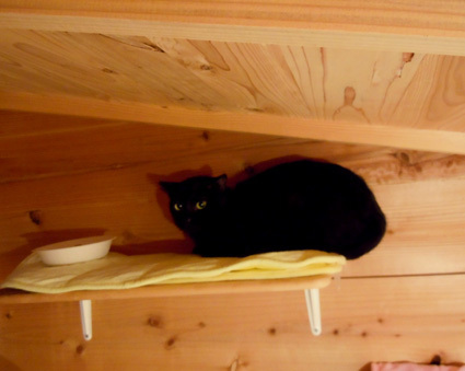 20101026home05-sun.JPG