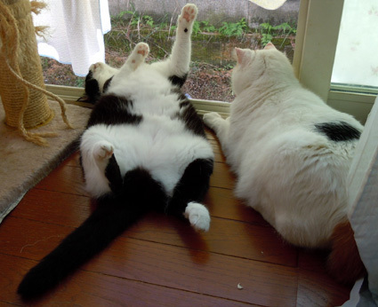 20101026home08.JPG
