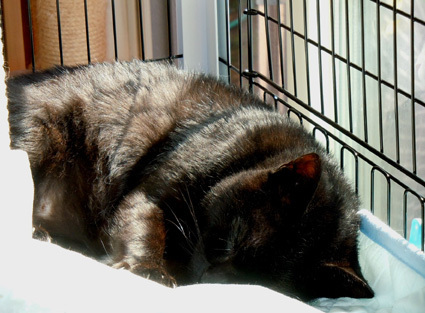 20101103home01.JPG
