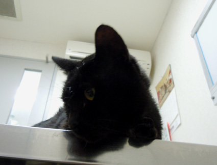 20101103home03.JPG