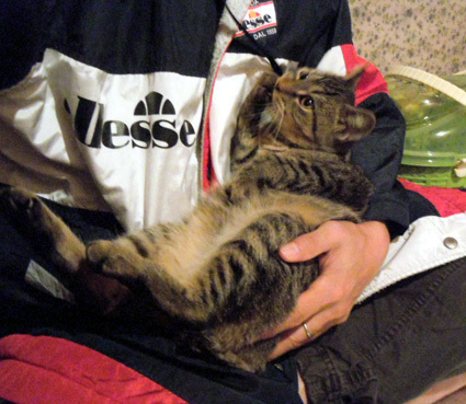 20101111home01.JPG