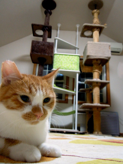 20101220home01.JPG