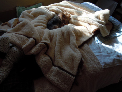 20101226home01.JPG