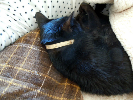 20101226home02.JPG
