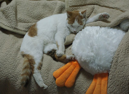 20102007nana06.JPG