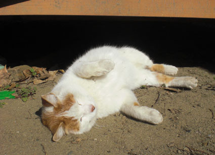 20102007nana07.JPG