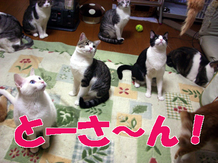 2010birthday16.JPG