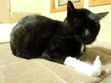 20110102home07.JPG