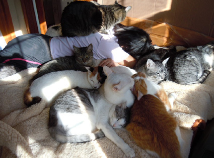 20110109home10_ka-san.JPG