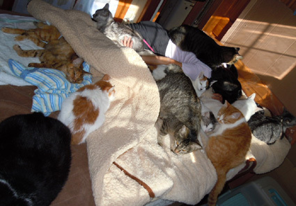 20110109home11_ka-san.JPG