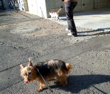 20110109home13_nana.JPG