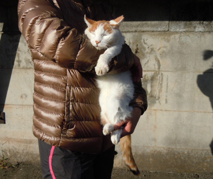 20110109home17.JPG