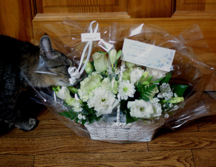 20110116home01.JPG