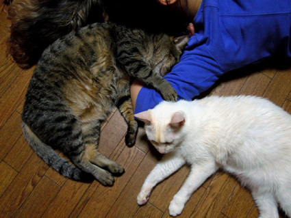 20110306home01.JPG