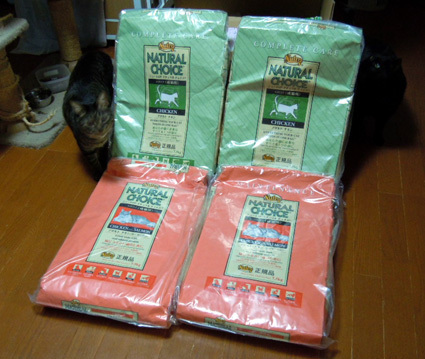 20110313mamechanSAN.JPG