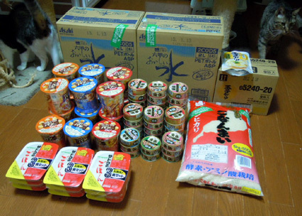 20110316mamechanSAN.JPG