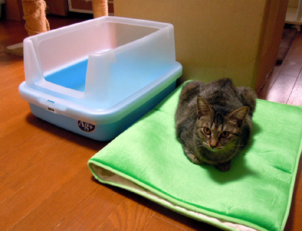 20110319home02.JPG