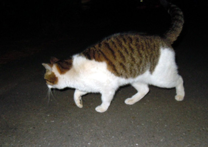 20110326park02_be.JPG