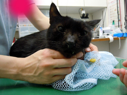 20110407hospital01_dai.jpg
