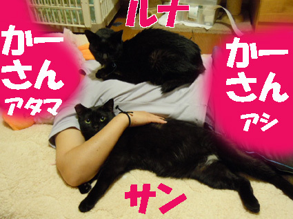 20110425home02_luna.JPG