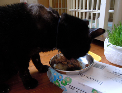 20110503home04_luna.JPG