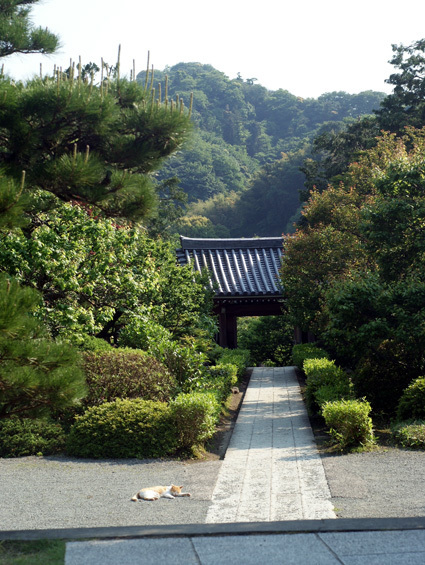 20110521kamakura01.JPG