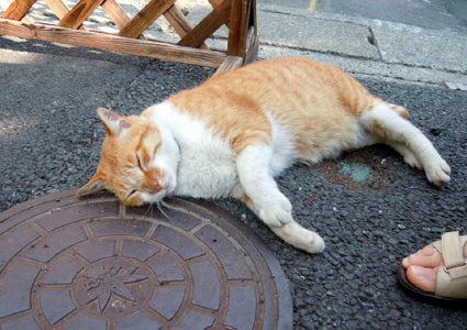20110521kamakura03.JPG