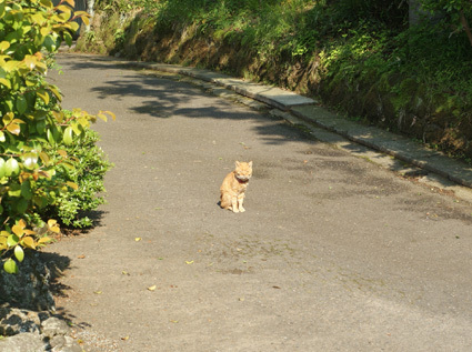 20110521kamakura15.JPG