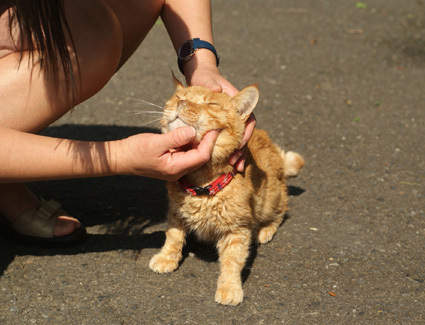 20110521kamakura16.JPG