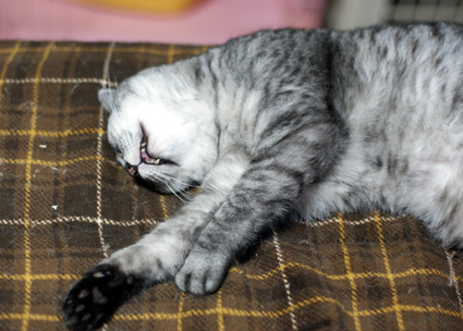 20110531home02.JPG