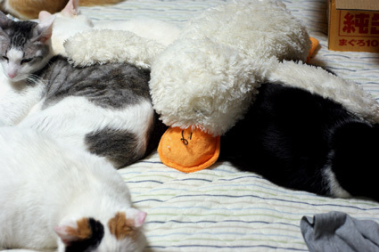 20110531home07.JPG