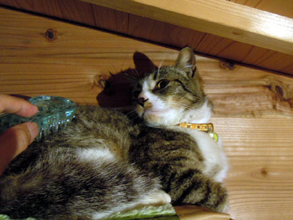 20110605home04.jpg