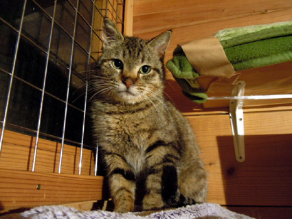 20110611home03.JPG